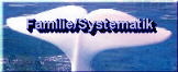 Familie/Systematik